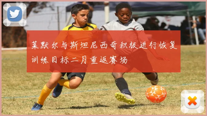 莱默尔与斯坦尼西奇积极进行恢复训练目标二月重返赛场